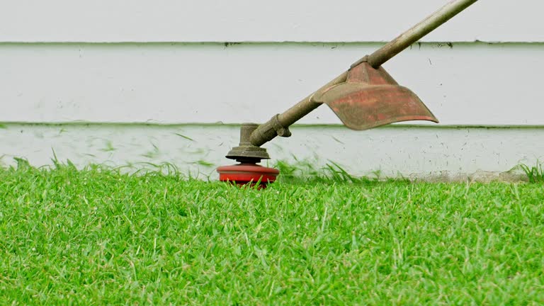 Best Grass Overseeding  in Camp Verde, AZ